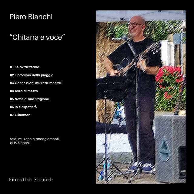 Chitarra e voce