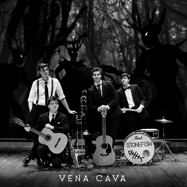 Vena Cava