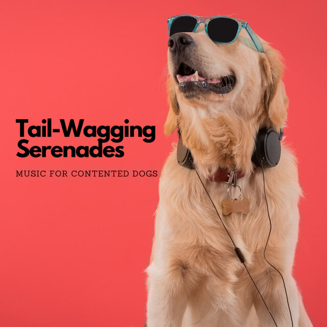 Tail-Wagging Serenades: Music For Contented Dogs