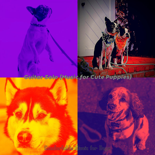 Guitar Solo (Music for Cute Puppies)