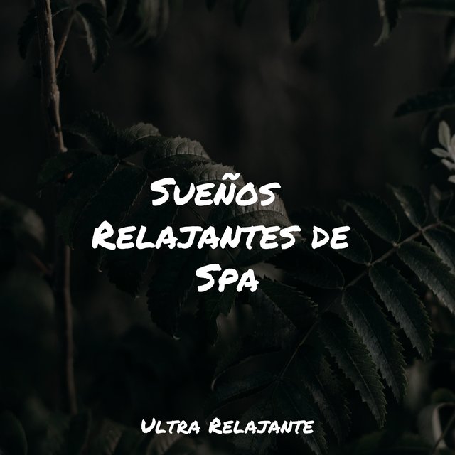 Sueños  Relajantes de Spa
