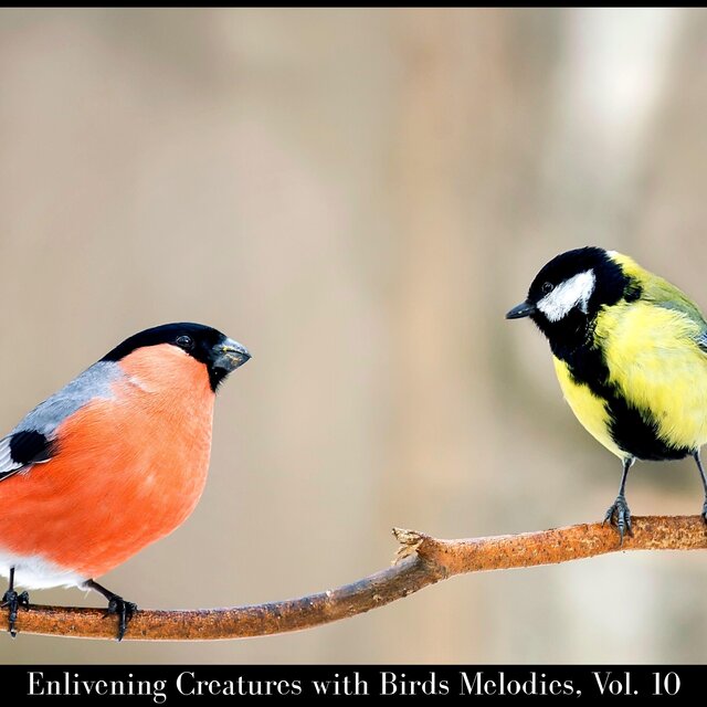 Enlivening Creatures with Birds Melodies, Vol. 10