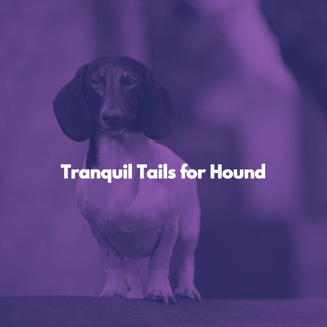 Tranquil Tails for Hound