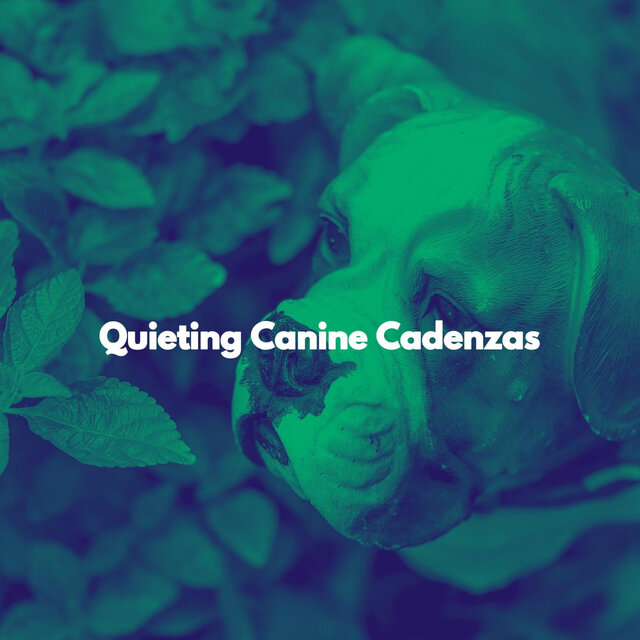 Quieting Canine Cadenzas