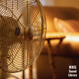 Early Morning Fan