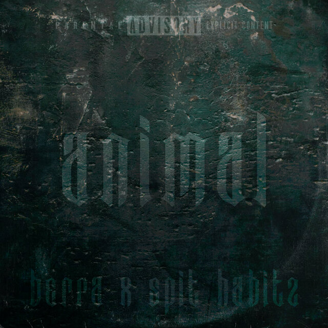 Animal