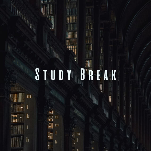 Study Break: Calming Meditation Melodies