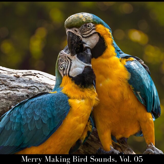 Merry Making Bird Sounds, Vol. 05