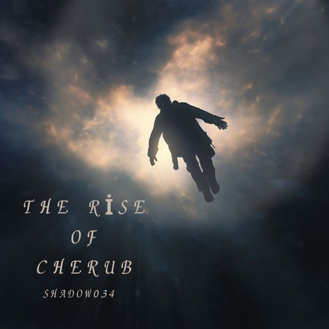 The Rise Of Cherub