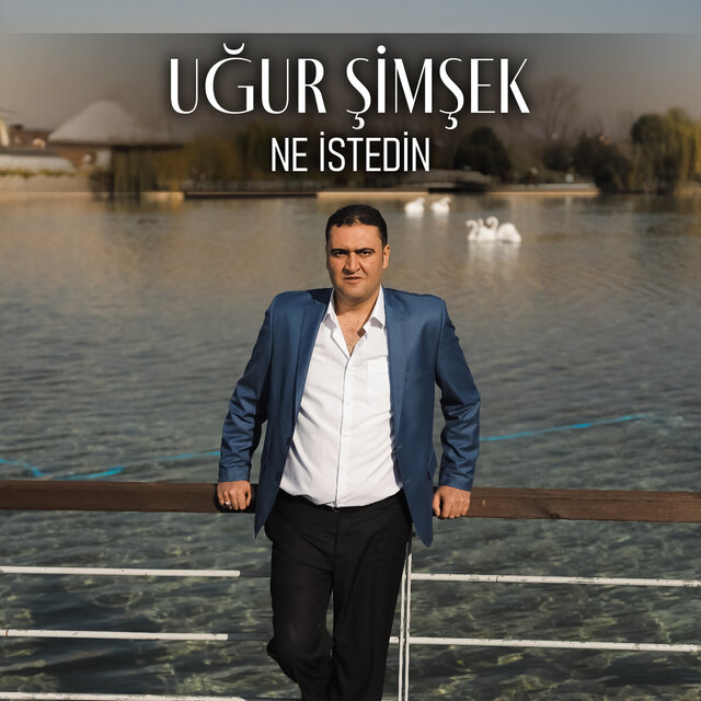 Ne İstedin