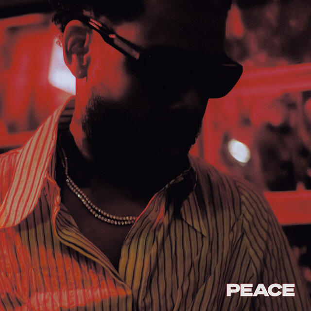Cover art for album PEACE by Terrace Martin