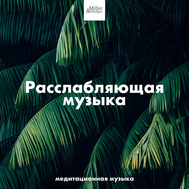 Тибетская Флейта By Музыка Релакс Коллекция On Tidal