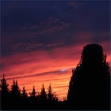 Chimes and the Rain: Set 6