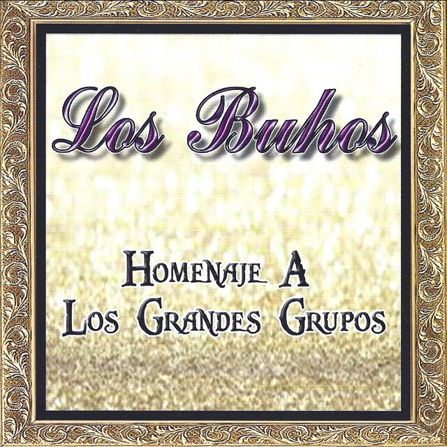 Homenaje A Los Grandes Grupos, Vol. 24