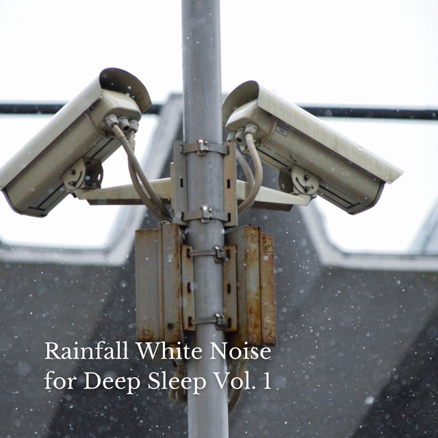 Rainfall White Noise for Deep Sleep Vol. 1