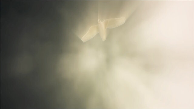 Come Holy Spirit Come