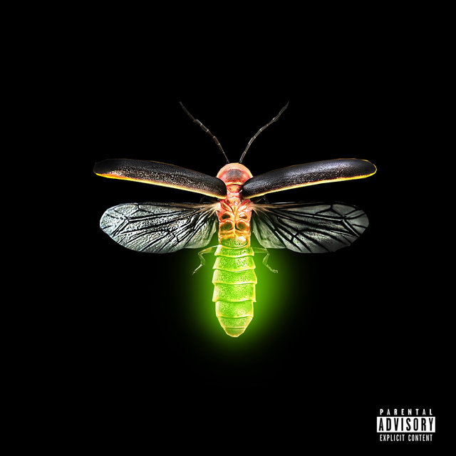 Lightning Bug