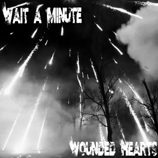 Wounded Hearts