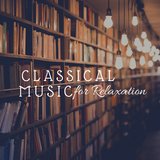 Soft Piano Melodies