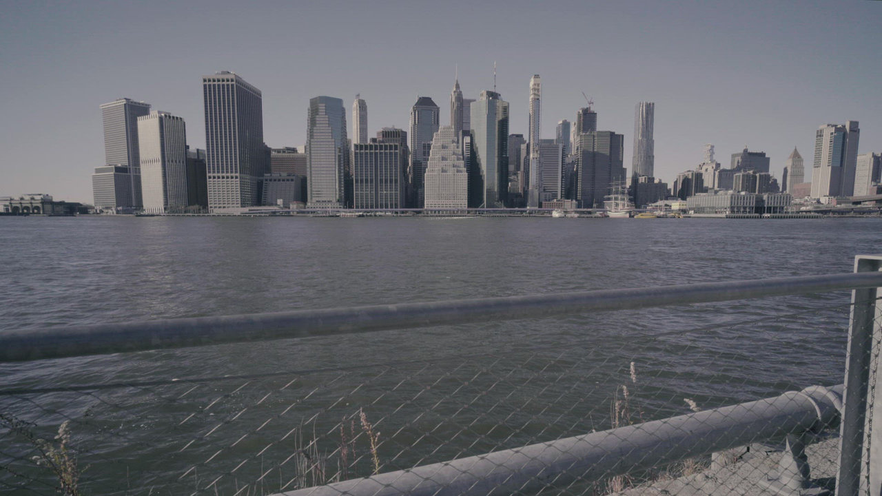 Volando en Nueva York