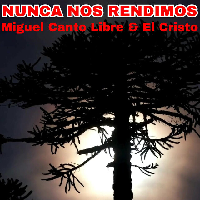 Nunca Nos Rendimos
