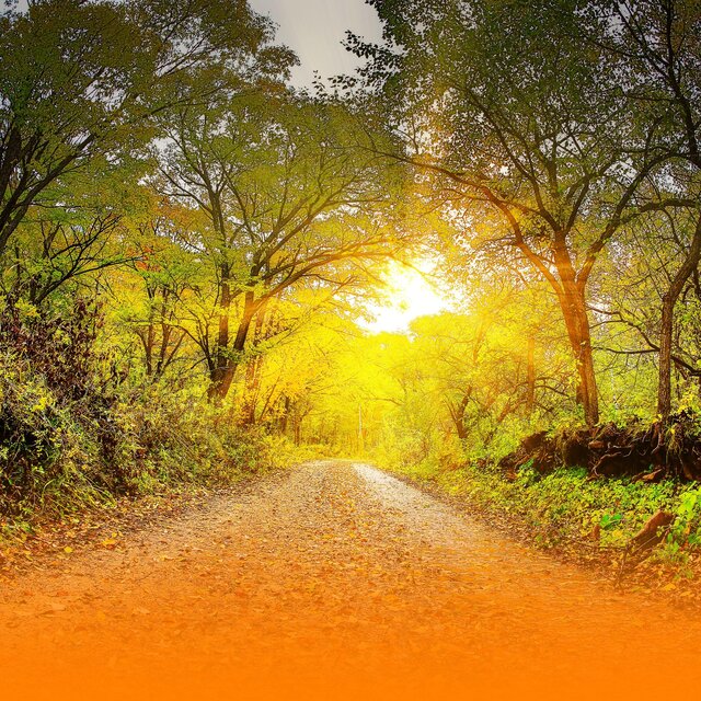 Instrumental Healing Music For Deep Relaxation And Stress Relief With Soothing Nature Sounds