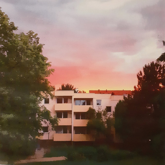 Thr33