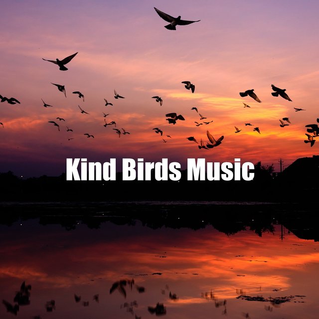 Kind Birds Music