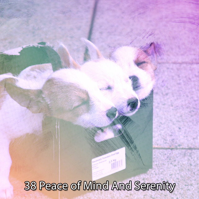 38 Peace of Mind And Serenity