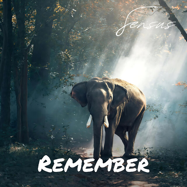 Remember
