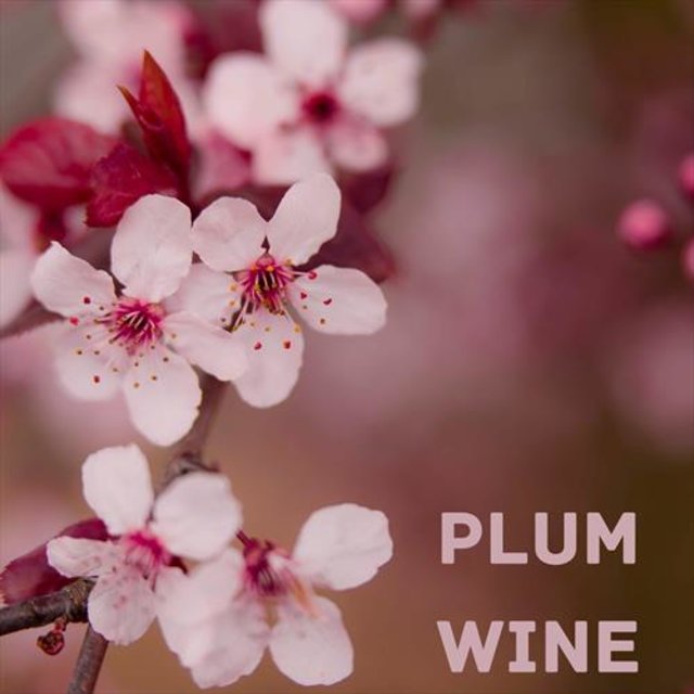 Plum Wine