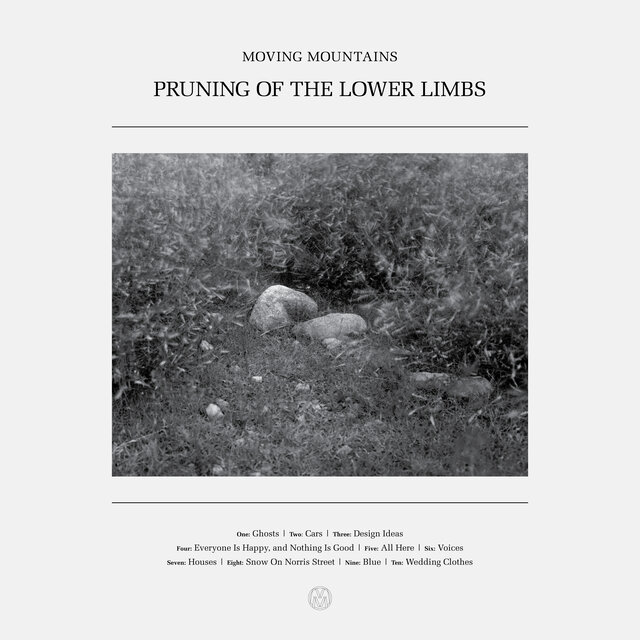 Pruning of the Lower Limbs