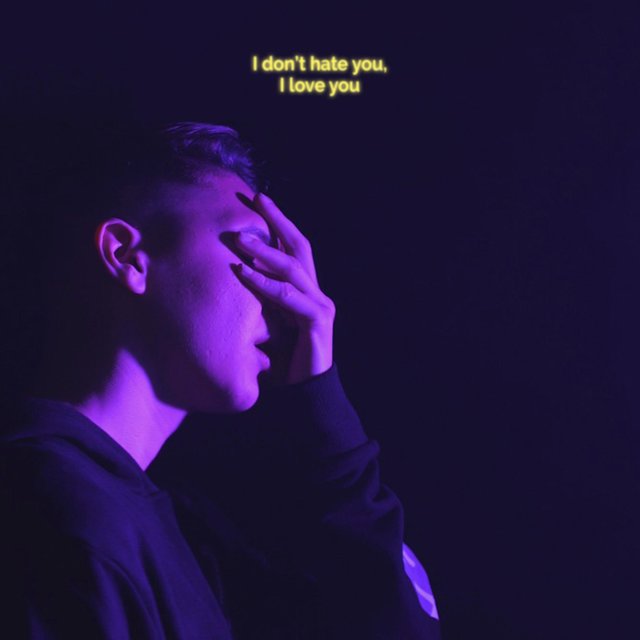 I Don't Hate You, I Love You