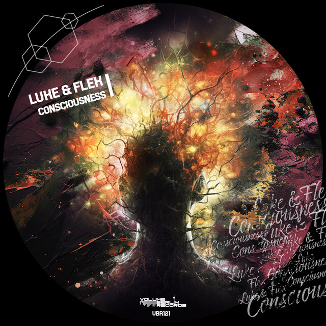 Consciousness