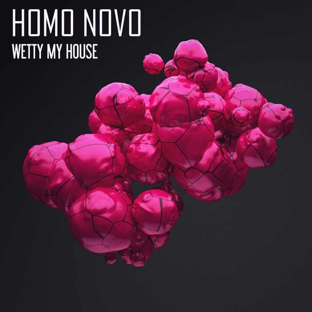 Wetty My House