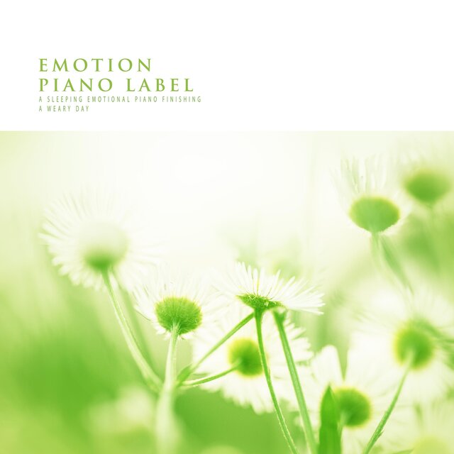 A Sleeping Emotional Piano Finishing A Weary Day