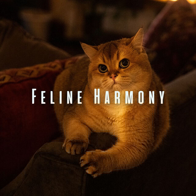Feline Harmony: Peaceful Meditation Music for Cats