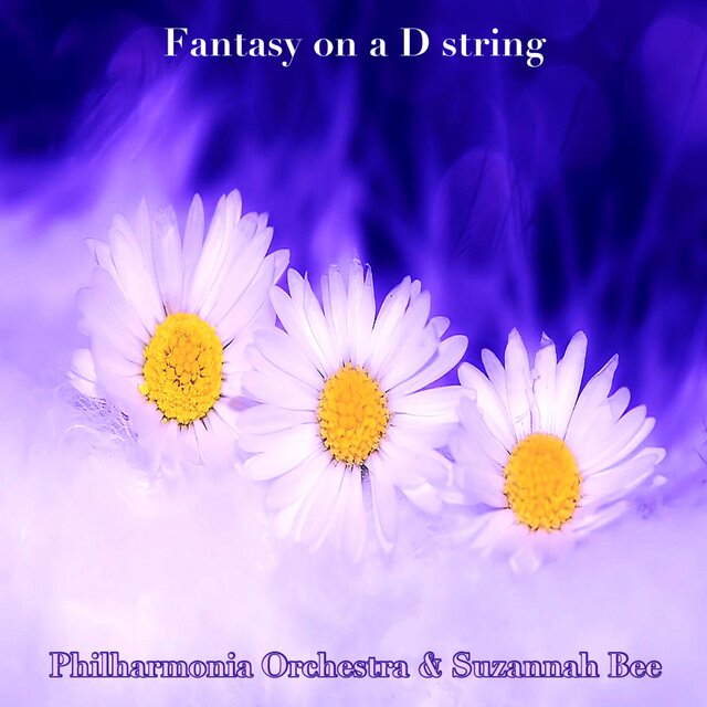 Fantasy on a D string