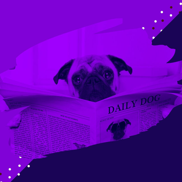 Harp Music - Bgm for Doggy Anxiety