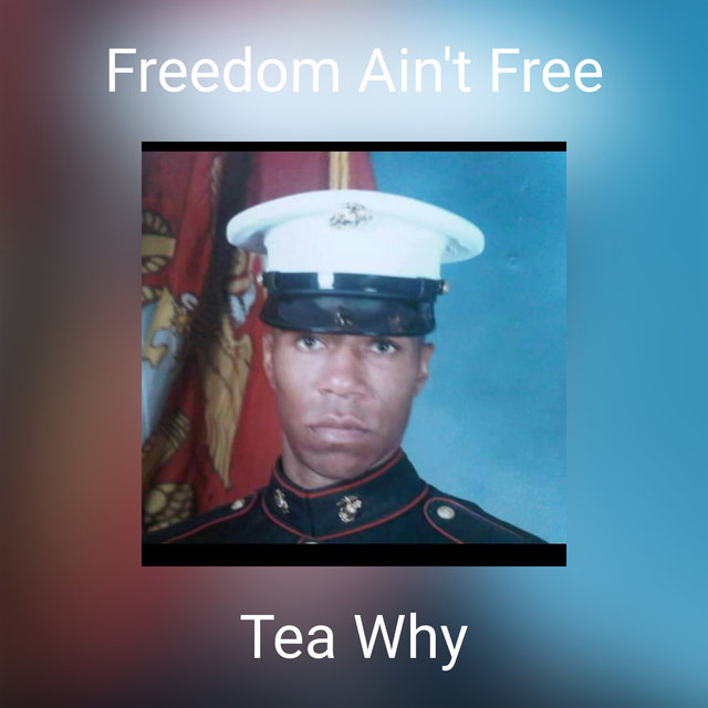Freedom Ain't Free