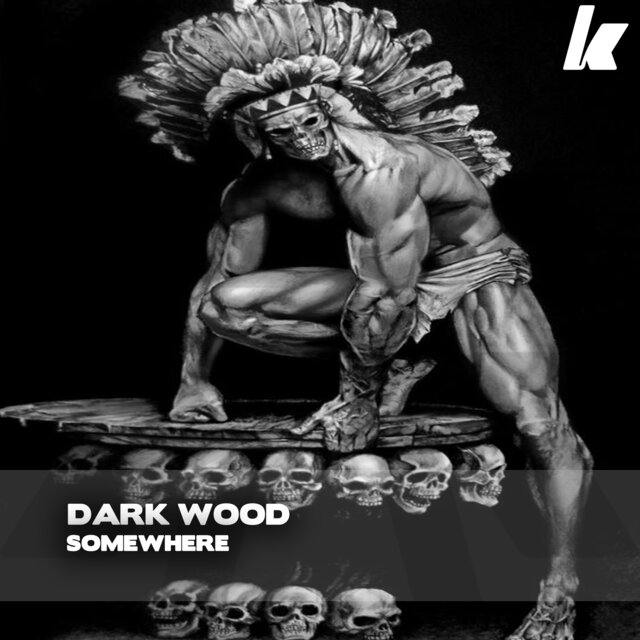 Dark Wood (Radio Edit)