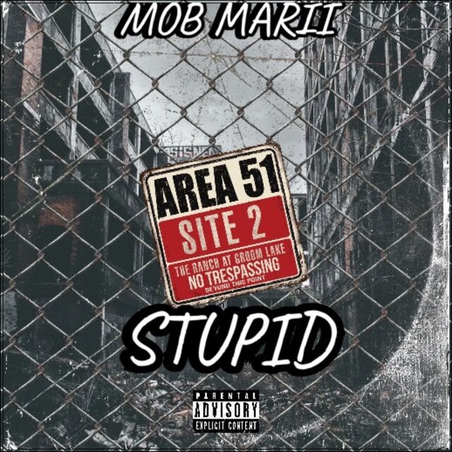 Stupid