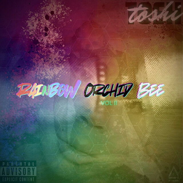 RAINBOW ORCHID BEE