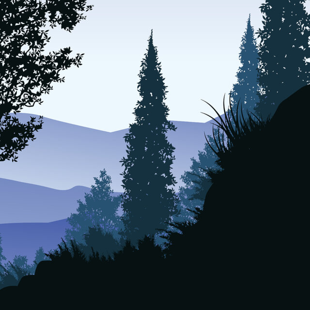 Forest Breeze