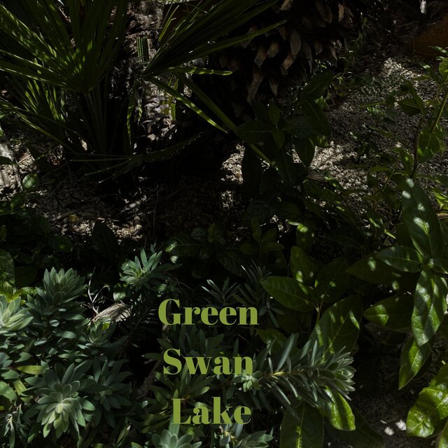 Green Swan Lake