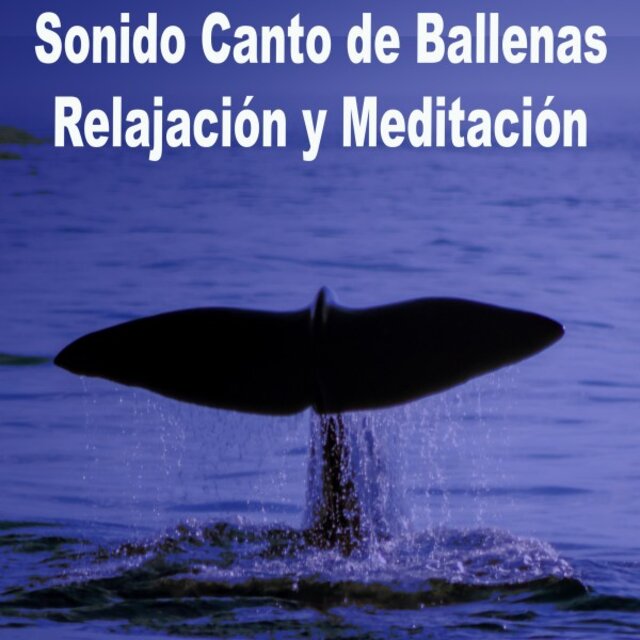 Sonido Canto de Ballenas Relajación y Meditación (Siente el Sonido, Vive Su Música Sonidos para Relajación y Meditación. Canto de Ballenas para Dormir o Relajar)