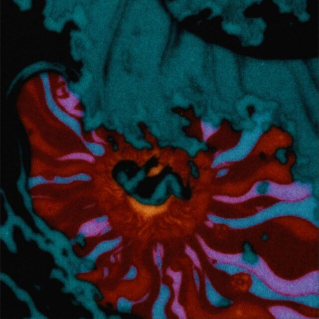 Pariah Flair
