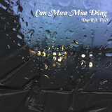 Cơn Mưa Mùa Đông (Beat)