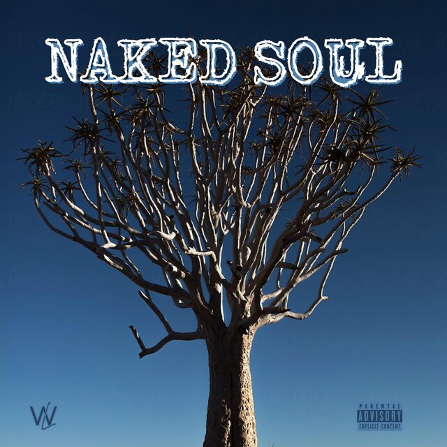 Naked Soul