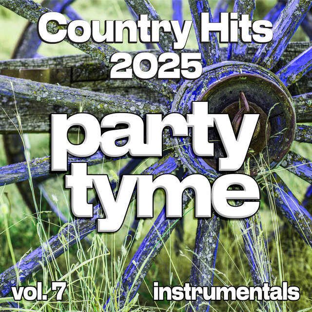 Country Hits 2025, Vol. 7 (Instrumental)